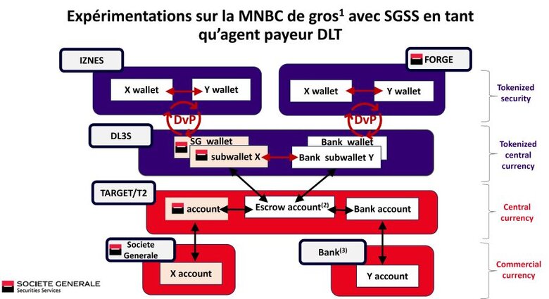 Diagramme expérimentation MNBC de gros avec la BdF